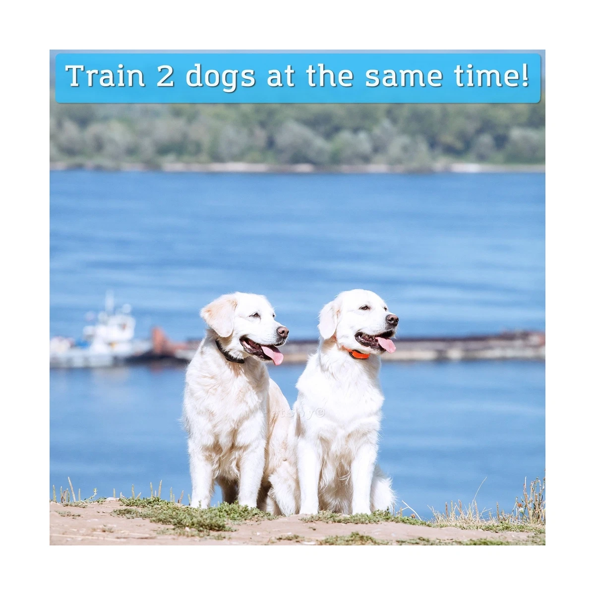 Petspy dog trainer shock collar for 2 dogs with vibra and beep 2025