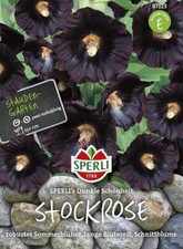 Stockrose, Dunkle Schönheit