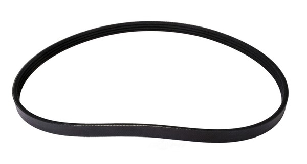 Continental Elite 4040355S Poly-V//Serpentine Stretch Belt