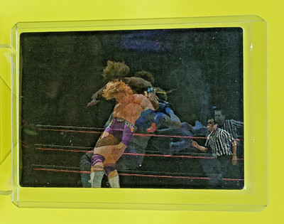 2008 Topps WWE Ultimate Rivals Motion Card Brian Kendrick & Carlito Wrestling #3
