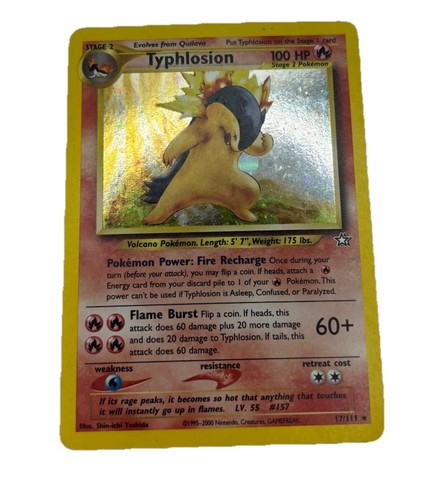 Typhlosion (17)