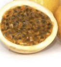 Live Yellow Passion Fruit Vine Plant, Ship in pot