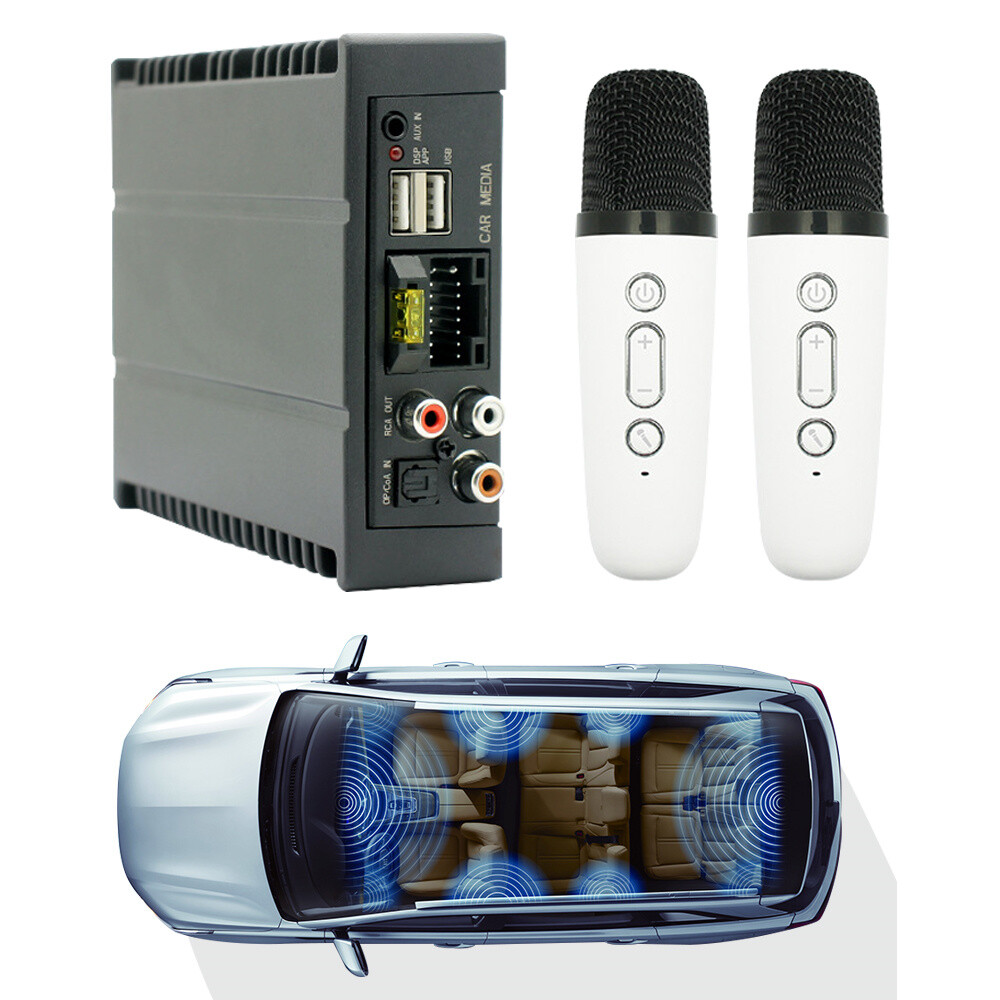 Car Digital Audio Processor With 2 Microphone DSP Amplifier With Wiring Harness