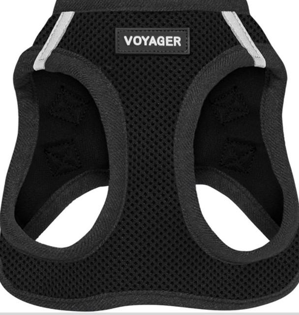 Voyager Step-in Air Harness