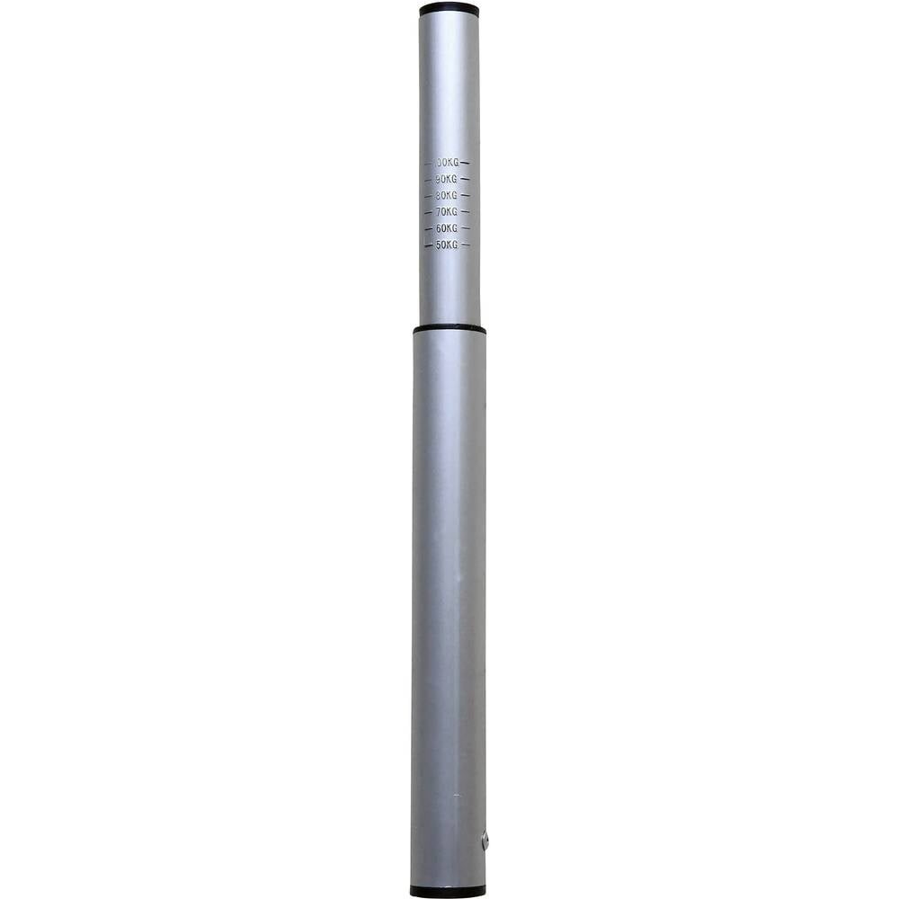Pèse-flèche 100 kg HP Autozubehör pour départ en vacances camping