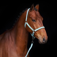 HV Polo Halfter HVPNena Aqua Sky