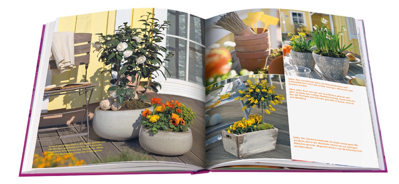 Thumbnail - Blütenoasen Karen Meier-ebert