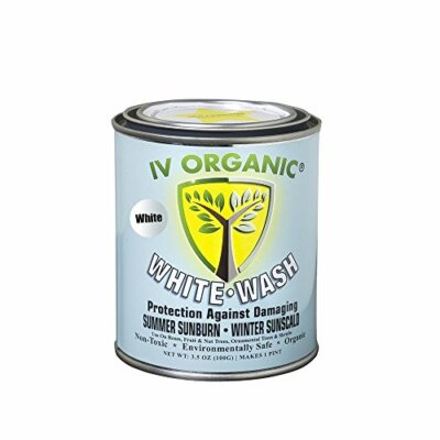 #ad IV Organic White Wash 1 Pint WHITE $24.95
