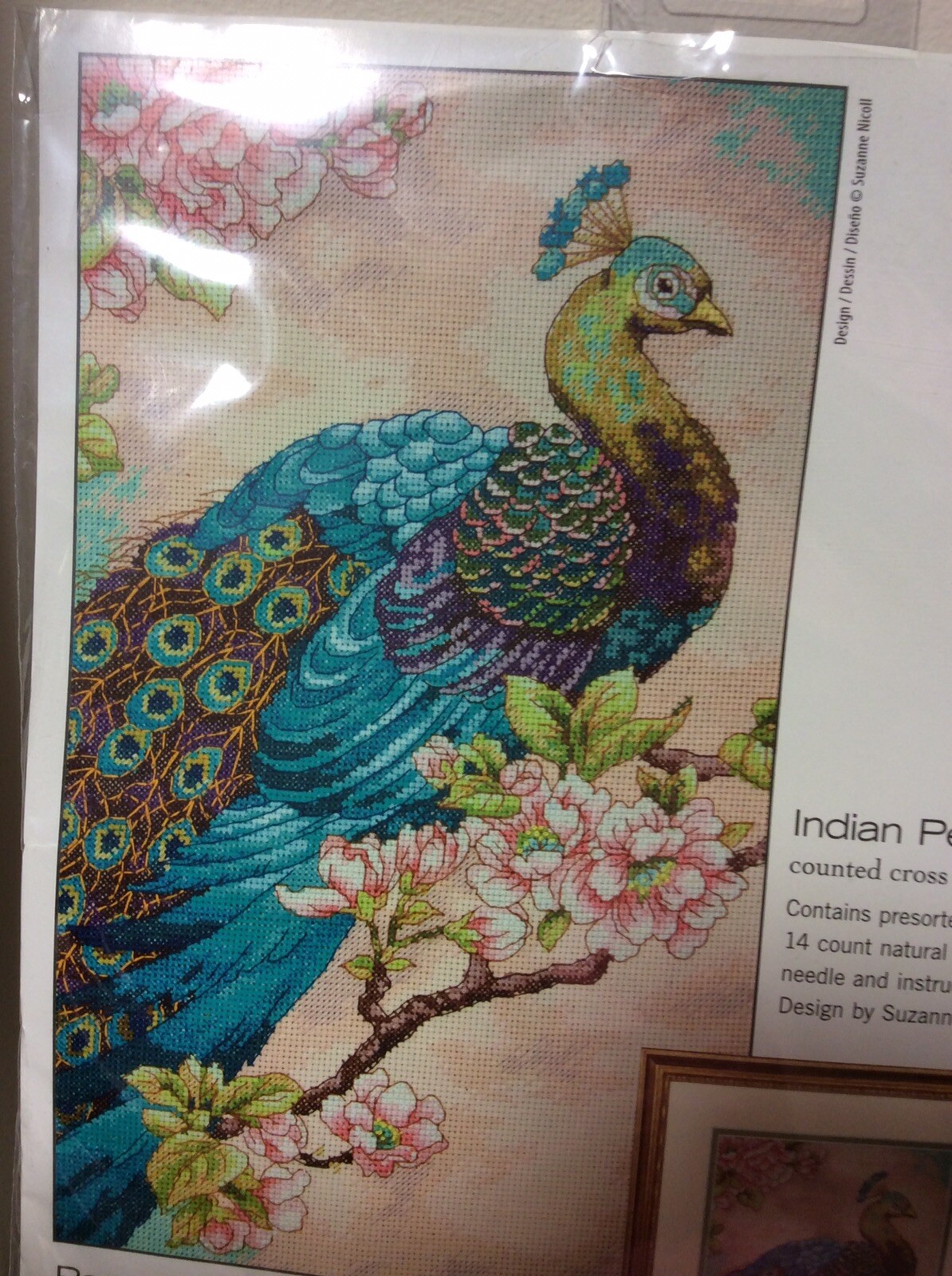 Kit &ldquo;indian Peacock&rdquo; Free Shipping