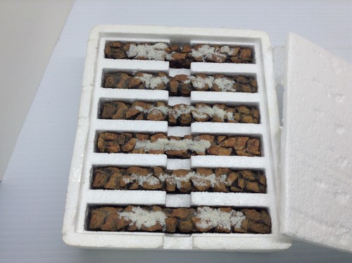 Dept. 56 Stone Wall #56.52629 Set of 9 Pcs. 6 IN ORIGINAL BOX 3 EXTRAS - Picture 4 of 6