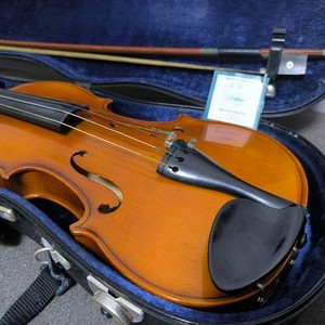 Karl Hofner Violin | eBay