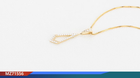 14K Yellow Gold Natural Diamond Pendant Necklace MZ71556