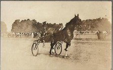 POSTCARD-SINGLE-G HARNESS HORSERACING RPPC RARE!!!