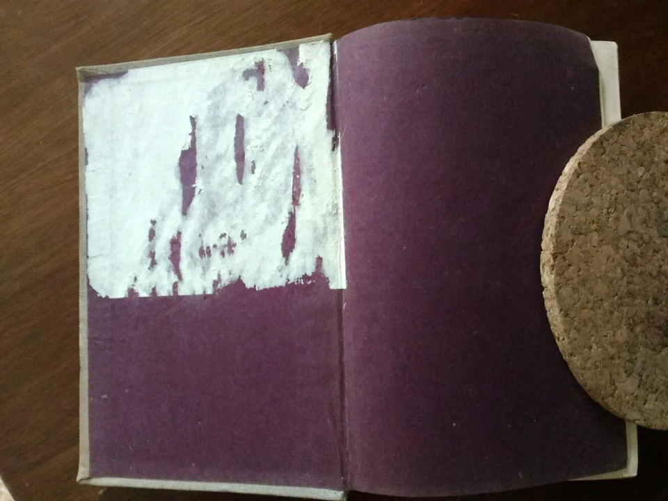 Rare - 1855 Der Amerikamüde - Amerikanische Kurturbild by Ferdinand Kürnberger - Image 4 of 4