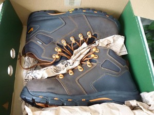 danner 13860
