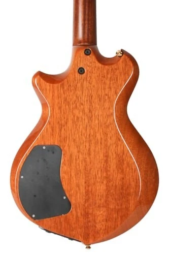 Guitarra eléctrica Breedlove Mark II en Wickedburst Foto 3 de 4