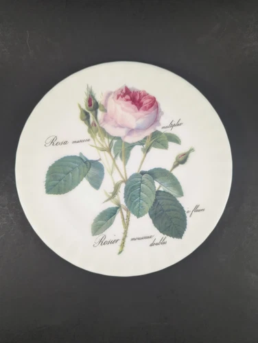Redoute Roses Plate Vintage Roy Kirkham English Bone China Dessert Salad 8"