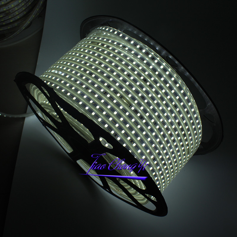 220V LED strip 2835 100led/M waterproof with Power Adapter Flexible LED Tape eBay