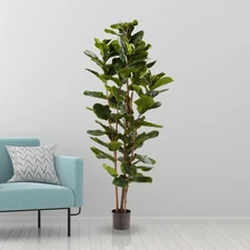 PURE GARDEN ARTIFICIAL FIDDLE LEAF FIG TREE, 72”, 50-LG1119 - GREEN