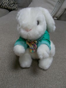cottontail teddy