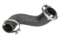 Thermotec DCG191TT Ladeluftschlauch FüR Fiesta Fusion 1.6D 11.04-12.12 Ford
