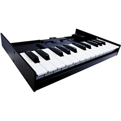 ROLAND K-25m Boutique Series Keyboard Unit | eBay