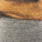 Bild 5 von 6