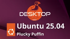 Ubuntu Desktop 25.04 Plucky Puffin USB Flash Drive