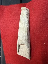 Ancient Adze Head Inuit Yupik St. Lawrence Island