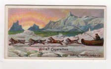 British Empire CAP card 1912 #23 Trapper Husky Dog Sleigh Hudson Bay