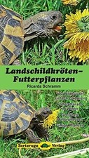 Landschildkröten-Futterpflanzen von Schramm, Ricarda | Buch | Zustand sehr gut