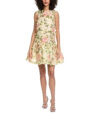 Oscar De La Renta English Rose Fil Coupe Silk-Blend Mini Dress Women's