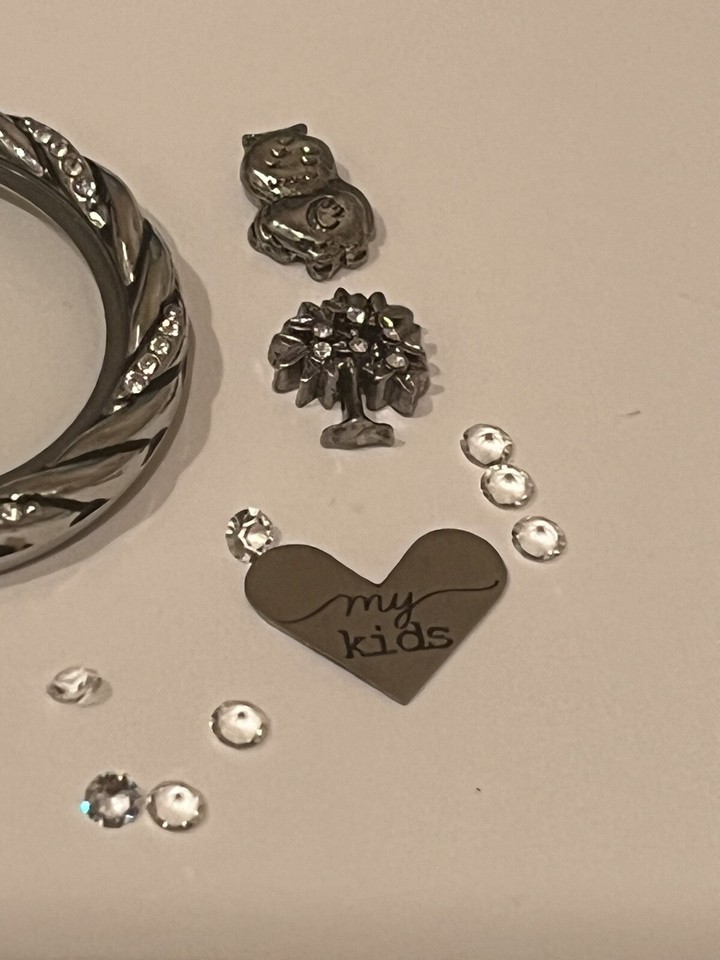 Origami Owl Large Silver Twist Top With Charms eBay