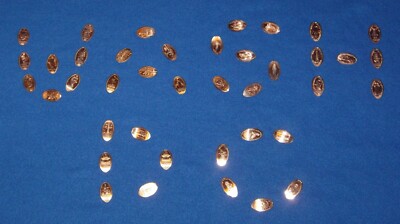 BRAND NEW WASHINGTON DC MONUMENTS SMITHSONIAN ZOO LINCOLN PENNY COLLECTOR'S ITEM
