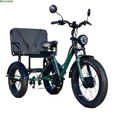 24" electric trike 48V 18Ah 7s e-tricycle 200kg load with back seat for 2 people