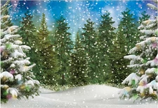 Winter Forest Photography Backdrop for Christmas Party and Photo Booth Decor
