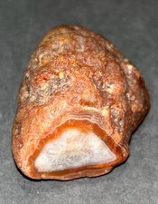 Lake Superior Agate Red Whit Banding Glossy Husk 2.4 Ounces Look!!!