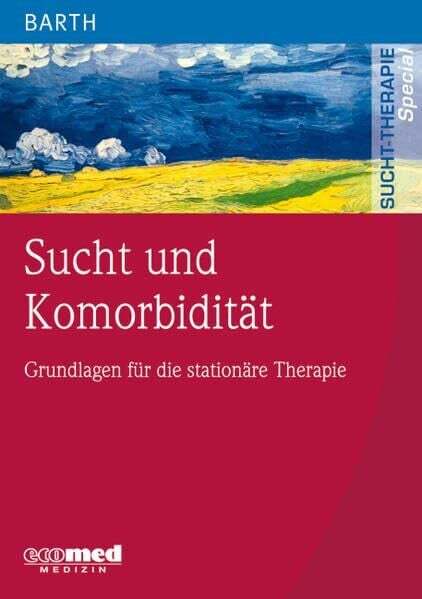 Sucht und Komorbidität: Grundlagen für die stationäre Therapie Buch