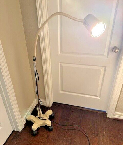 Moffatt Lamp Gooseneck Light with Rolling Stand (4337508)