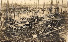 Tarpon Springs Florida FL Sponges on Docks c1920 Real Photo Postcard