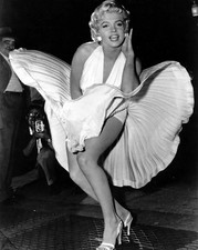 Marilyn Monroe Posing In White Dress 8x10 PRINT PHOTO