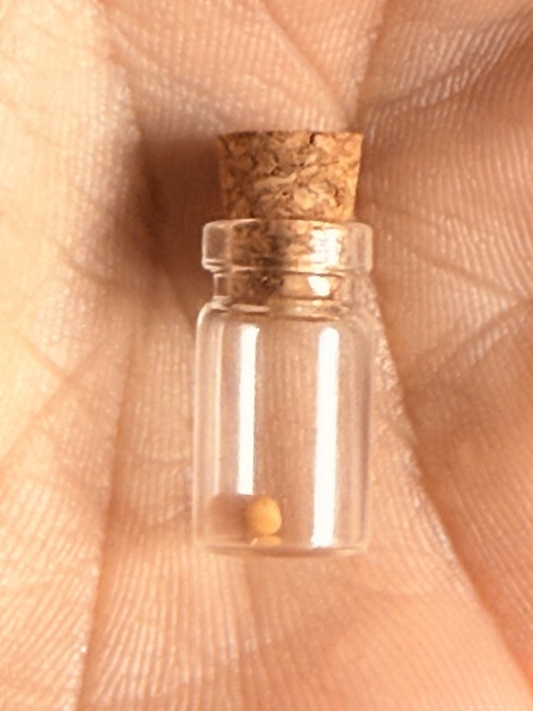 Tiny Seed ~Endless Faith! Sealed Mini Vial w/ Mustard seed inside. Matthew 17:20