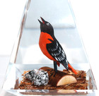 Vintage Hand Carved Painted Oriole Bird Lucite/acrylic Unique Canada Paperweight — photo 5