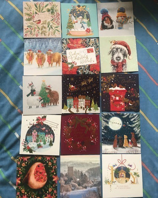 15 verschiedene Charity Weihnachtskarten mit Umschlägen - 5'' (12,5cm) quadratisch Pack 02