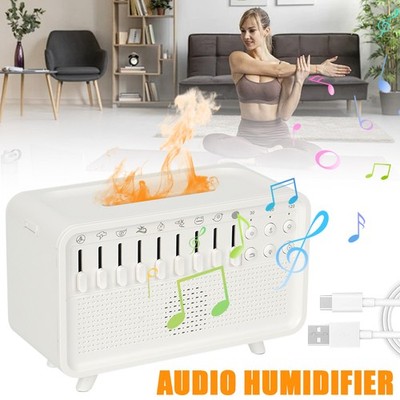 Luftbefeuchter, Diffusor für ätherische Öle, Lautsprecher mit weißem Rauschen