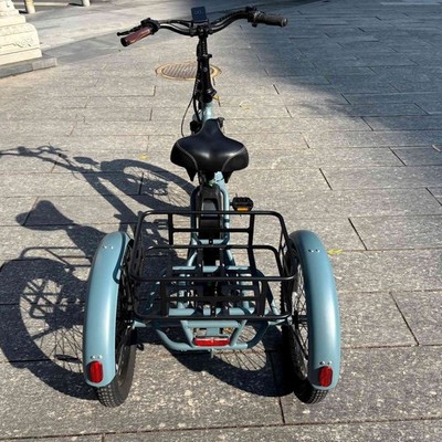 FAFREES 250W 3 Räder Fahrrad mit Korb Elektrofahrrad 20 Zoll Elektro Dreirad 48V