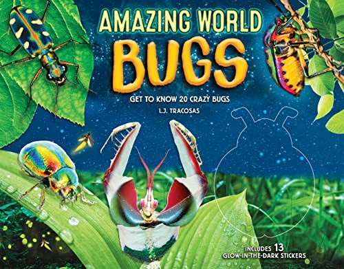 Amazing World: Bugs: Get to know 20 crazy bugs (1) - Image 8