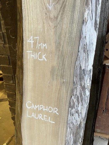 Camphor Laurel Timber Slab - 2.48m Long, GNT4368 - Picture 3 of 9