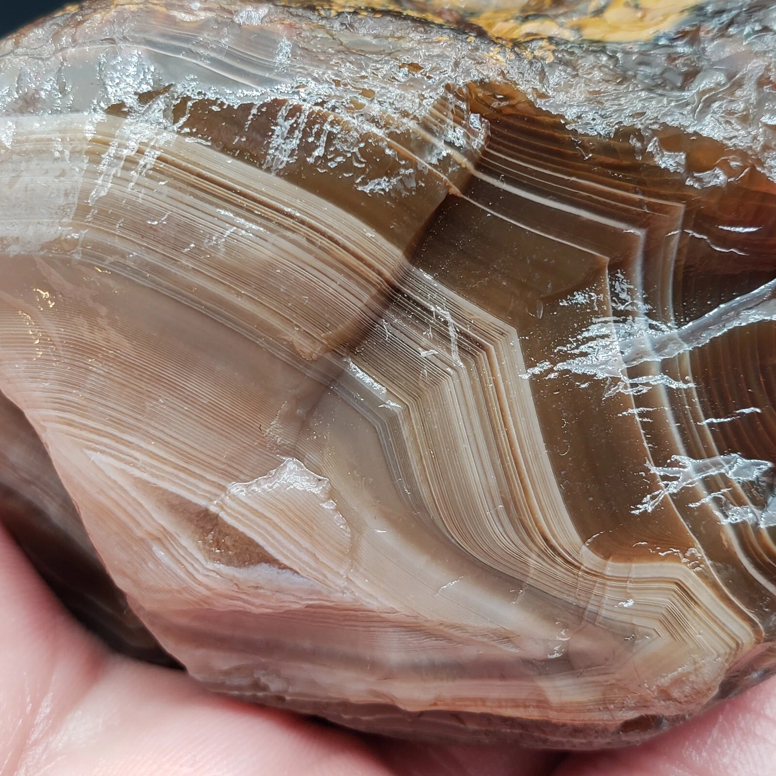 10.90 OZ KILLER COLORS MICROBANDED PEELER LAKE SUPERIOR AGATE GEMSTONE