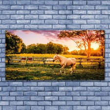 Photo sur toile Image Tableau Impression 140x70 Animaux Cheval Prairie